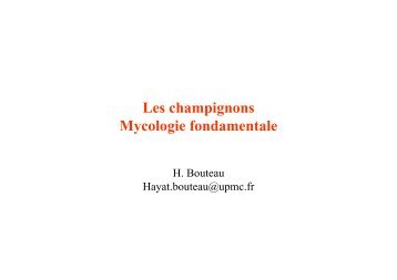 Les champignons Mycologie fondamentale