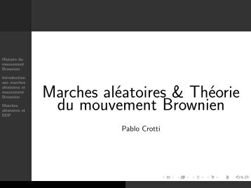 Marches aléatoires & Théorie du mouvement Brownien - Pablo Crotti