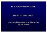 Syndrome pneumo-rénal