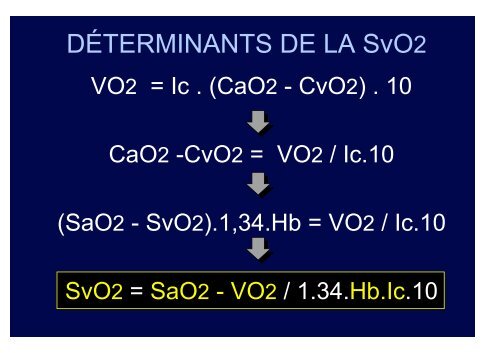 ÉCHANGES GAZEUX