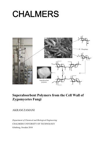 Superabsorbent Polymers from the Cell Wall of Zygomycetes Fungi