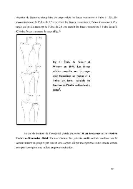 Pierre Sylvain Marcheix - desc orthopedie