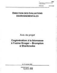 Avis de projet Cogénération à la biomasse à l'usine Kruger ... - BAPE