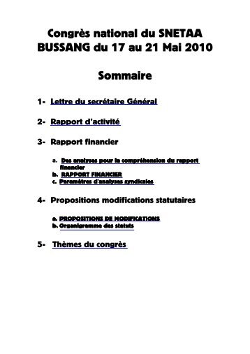 Rapport financier - Snetaa-lyon.fr