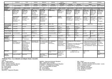 Tableau VI.a : Les ciments acryliques basse viscosité - WK-Pharma