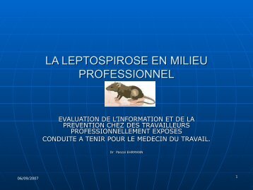 LA LEPTOSPIROSE EN MILIEU PROFESSIONNEL - Société de ...