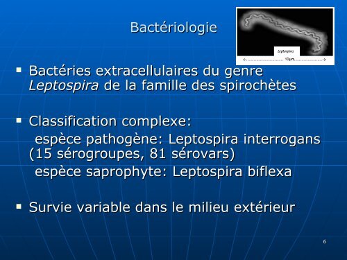 LA LEPTOSPIROSE EN MILIEU PROFESSIONNEL - Société de ...