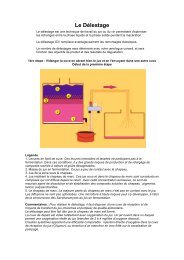 Le Délestage - Dominique Delteil Consultant