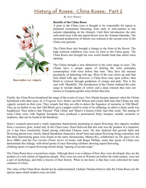 History of Roses: China Roses: Part 2