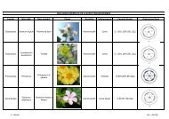 Diagrammes et formules florales.pdf - Acces