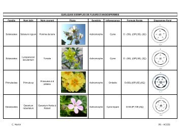 Diagrammes et formules florales.pdf - Acces