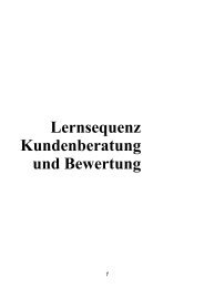 Lernsequenz Kundenberatung und Bewertung - Modellversuch LENE