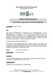 Höhere Berufsfachschule - Berufsbildende Schule Wirtschaft 2 ...