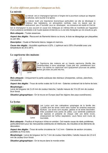 Que traiter les entozoaires chez les adultes