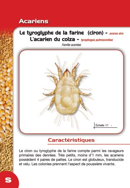 PIRIGRAIN Guide conseil - Groupe SOJAM