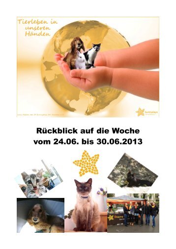 Rückblick auf die Woche vom 24.06. bis 30.06.2013