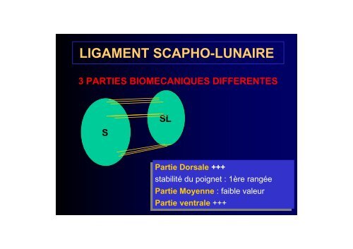 EVALUATION CLINIQUE ET IMAGERIE DU POIGNET ...