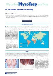 les scytalidioses (infections a scytalidium) - Revue Médecine Tropicale