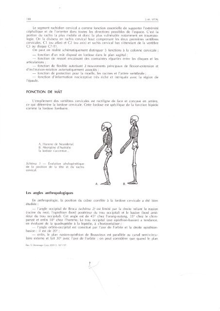 Anatomie fonctionnelle du rachis cervical - L'Institut de la Colonne ...