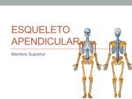 Osteologia II (apendicular).pdf - Molar