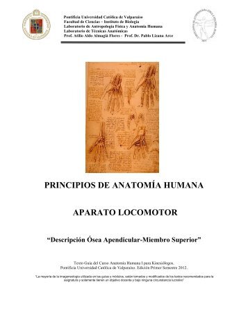 principios de anatomía humana aparato locomotor - Pontificia ...