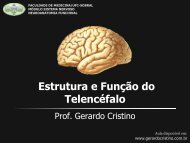 Estrutura e Função do Telencéfalo - Dr. Gerardo Cristino