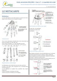 Le squelette de la main - Laboratoire d'Anatomie Normale et des ...