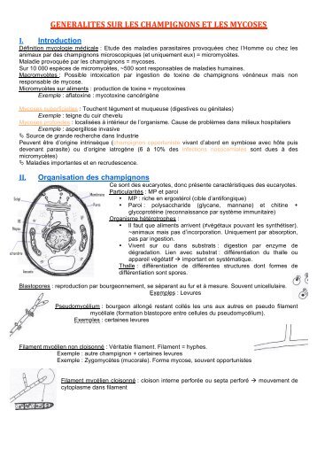 GENERALITES SUR LES CHAMPIGNONS ET LES MYCOSES - Free