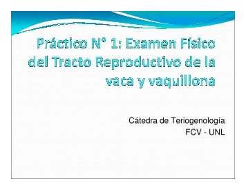 Cátedra de Teriogenología FCV - UNL