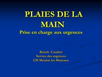 PLAIESMAIN COUDERT.pdf - medesim