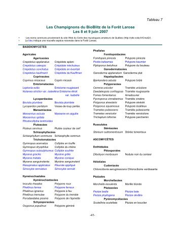 Les Champignons du BioBlitz de la Forêt Larose Les 8 et 9 juin 2007
