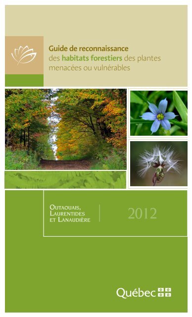 Guide de reconnaissance des habitats forestiers des plantes ...