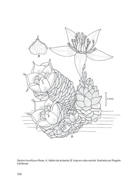 flora del bajío y de regiones adyacentes - Instituto de Ecología, A.C.