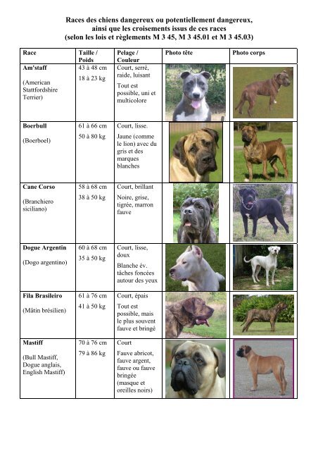 Liste chiens dangereux - Onex