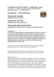 Parasháh 41: PINJAS/Pheenes TORAH DE MOSHÉ - yahrushalayim