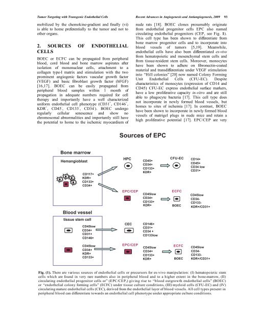 Recent Advances in Angiogenesis and ... - Bentham Science