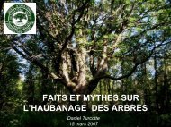 Faits et mythes sur l'haubanage des arbres