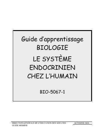Guide d'apprentissage BIOLOGIE LE SYSTÈME ENDOCRINIEN ...