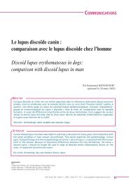 Le lupus discoïde canin - Académie Vétérinaire de France