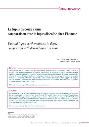 Le lupus discoïde canin - Académie Vétérinaire de France