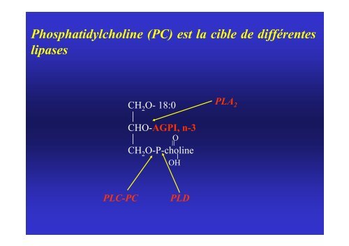 AGPI - Lipides et signalisation cellulaire