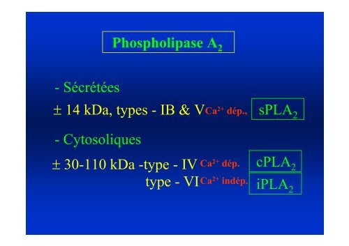 AGPI - Lipides et signalisation cellulaire