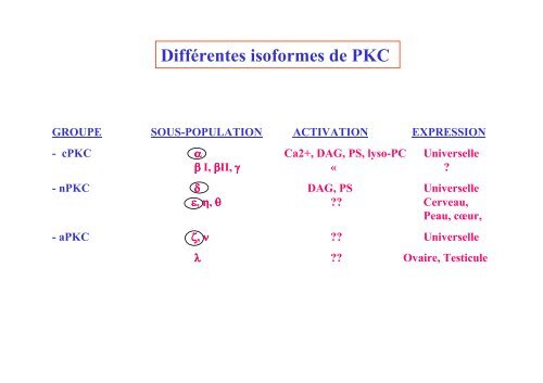 AGPI - Lipides et signalisation cellulaire