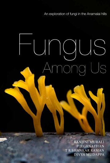Fungus Among Us - Nature Conservation Foundation