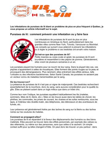 Punaises de lit : comment prévenir une infestation ... - MIELS-Québec