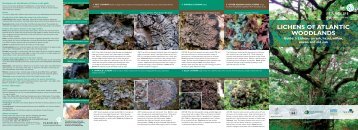 LICHENS OF ATLANTIC WOODLANDS - Plantlife