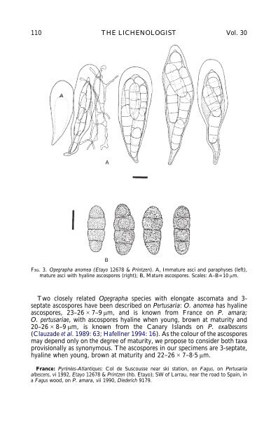 LICHENICOLOUS FUNGI FROM THE WESTERN PYRENEES, FRANCE AND SPAIN ...