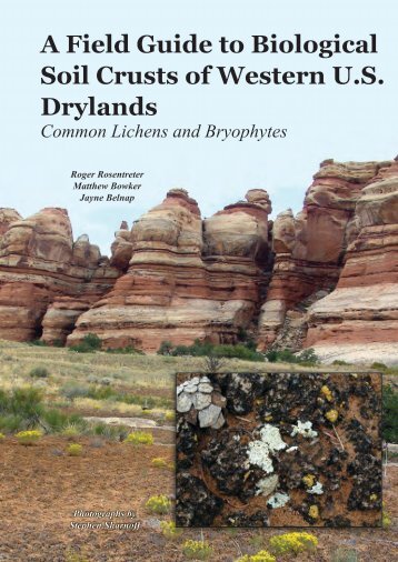 A Field Guide to Biological Soil Crusts of Western U.S. Drylands