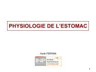 6bis- Physiologie de l'estomac