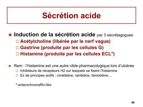 6bis- Physiologie de l'estomac